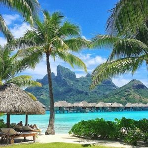 Meet your Posher, Ben